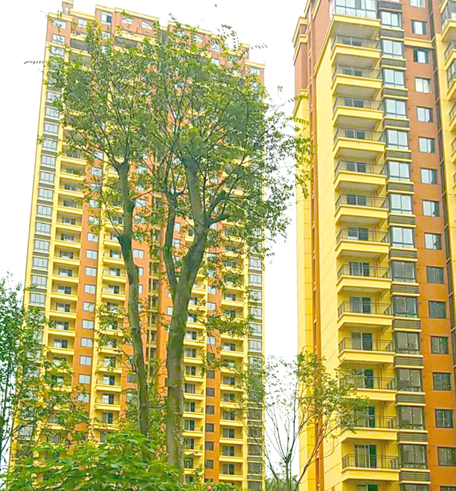 四川巴中義陽府第陽（yáng）台護（hù）欄項目