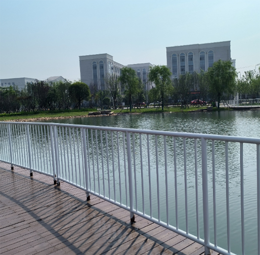 湖北荊州長江大學文理學院（yuàn）鋅鋼欄杆案例