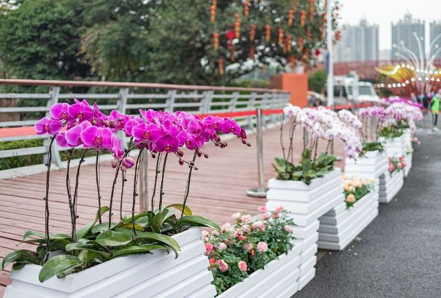 道路花箱護欄在市政起到哪些作（zuò）用