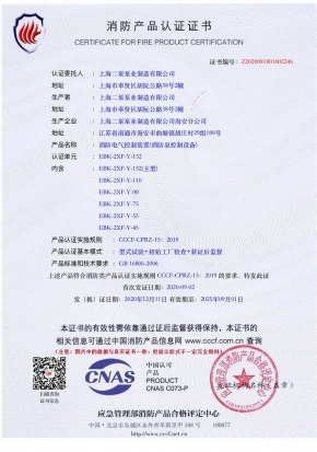 消防星（xīng）三角控製櫃CCCF分型證書