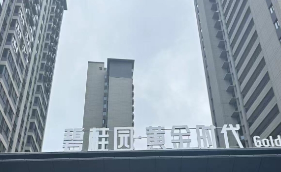 碧桂園黃金時（shí）代陽台連廊護欄百葉窗柵欄（lán）樓梯扶手案例